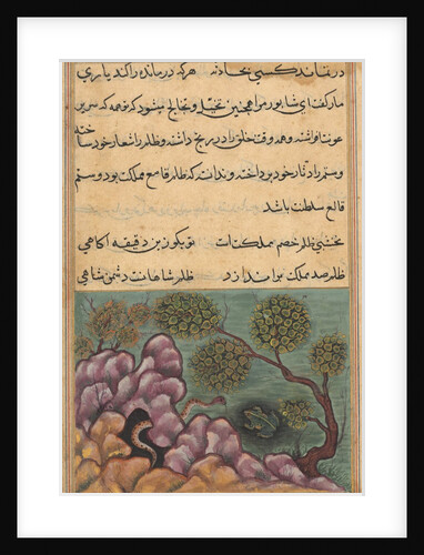 Page from Tales of a Parrot: Twenty-sixth night: The dethroned frog…, c. 1560 by Unknown