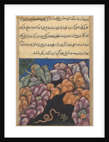 Page from Tales of a Parrot: Twenty-sixth night: The snake enters…, c. 1560 by Unknown