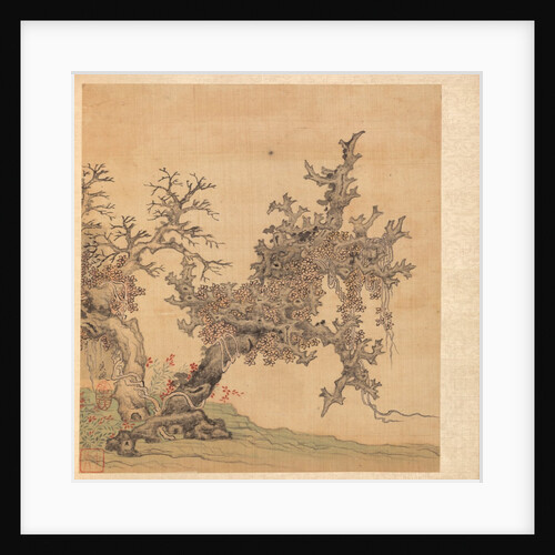 Paintings after Ancient Masters: An Ancient Tree, 1598-1652 by Chen Hongshou