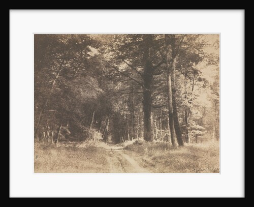 Pathway in the Forest of Fontainbleau, 1849-1852 by Gustave Le Gray