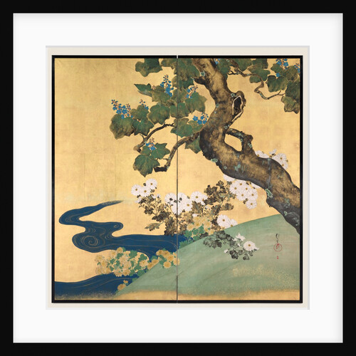 Paulownias and Chrysanthemums, late 1700s-early 1800s by Sakai Hoitsu