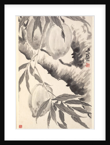 Peaches, 1788 by Min Zhen