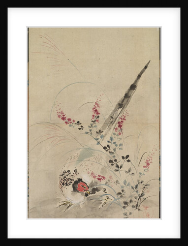 Pheasant and Grasses, late 17th-early 18th century by Ogata Korin (attributed to)