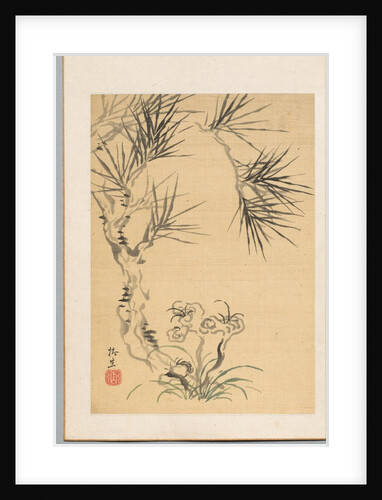 Pine Tree and Fungus, 19th century by Tsubaki Chinzan