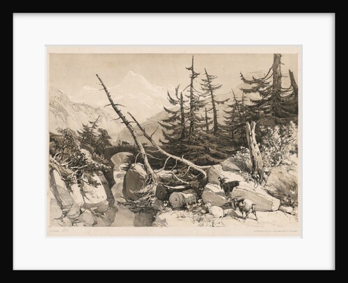 Pine Trees and Bridge, 1841 by James Duffield Harding