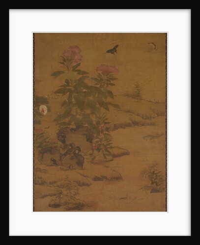 Plants and Insects, 1368-1644 by Unknown