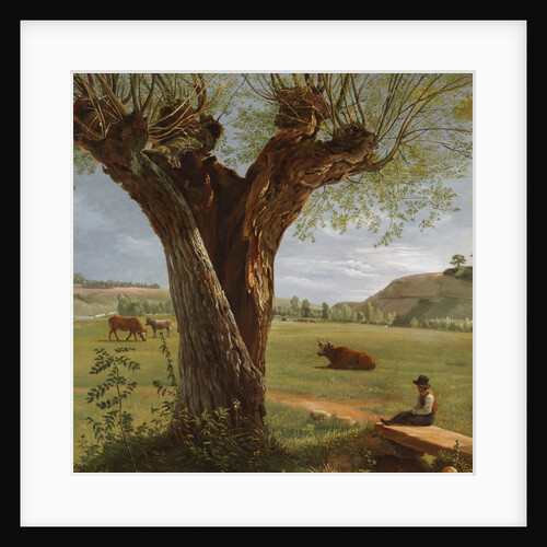 Pollard Willow, after 1804 by Pierre Jean Boquet