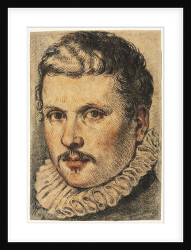 Portrait of a Man, 1500s by Unknown