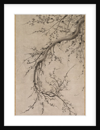Prunus, 17th century by Kano Ein? (attributed to)