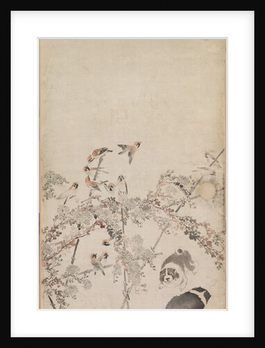 Puppies, Sparrows and Chrysanthemums, 1754-1799 by Nagasawa Rosetsu