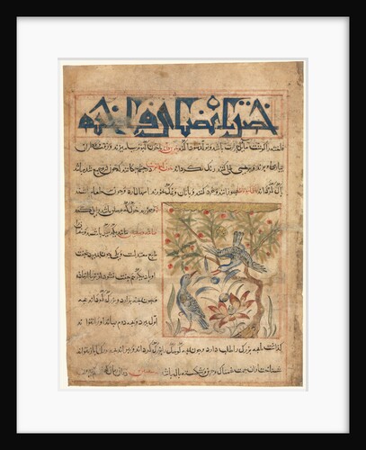 Qualities of Ringdoves from a Manafi al-Hayawan?, c. 1300 by Unknown