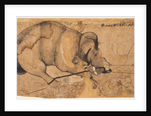 Rao Ram Singh?s Elephant Gone Amok, c. 1700 by Unknown