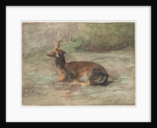 Recumbent Stag, second half 19th century by Rosa Bonheur