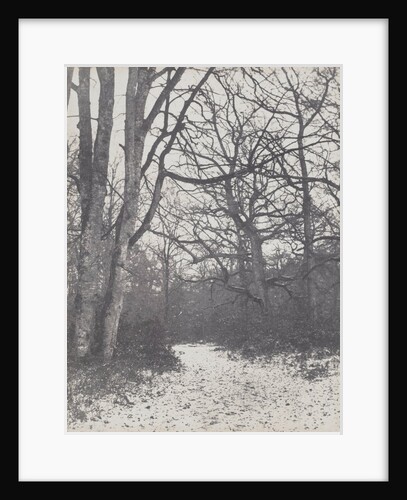 Road in the Forest, 1860-1863 by Eugène Cuvelier