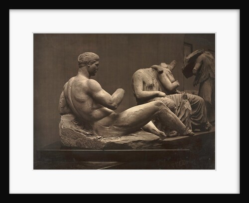 Sculptures from the Parthenon, British Museum, c. 1870s by Adolphe Braun