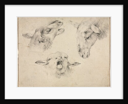 Sheep Heads, second or third quarter 1800s by Wouter Verschuur