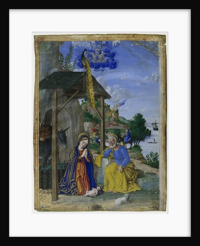 Single Miniature: The Nativity, c. 1515 by Girolamo dai Libri