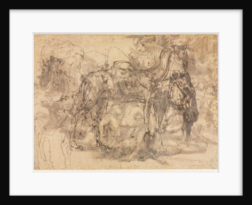 Sketches of Animals, c. 1545/47 by Perino del Vaga