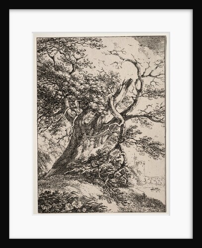 Specimens of Polyautography: Landscape with an Oak Tree, 1803 by Thomas Hearne