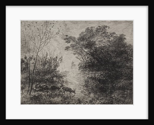 Stags, original impression 1862, printed in 1921 by Charles François Daubigny