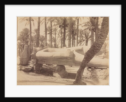 Statue of Ramesses at Saqqara, c. 1870s - 1880s by Antonio Beato