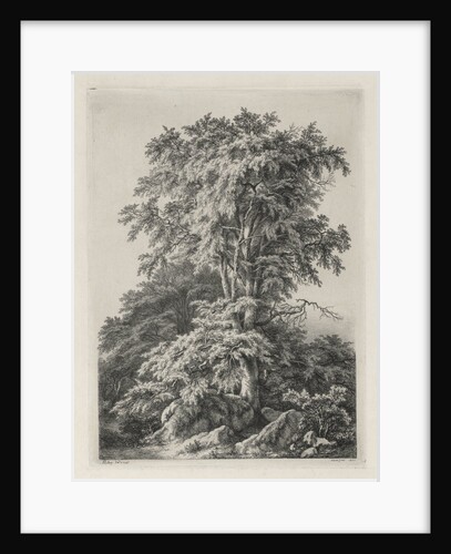 Studies Drawn and Engraved after Nature: The Beach, Fontainbleau…, 1840 by Eugene Bléry