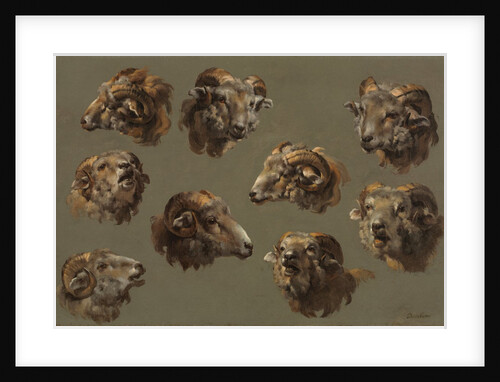 Studies of Ram Heads, 1700s by Unknown