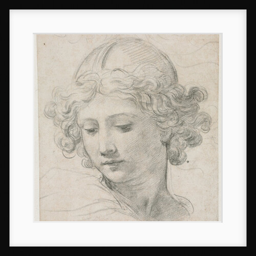 Study for the Head of St. Michael, 1633 by Pietro da Cortona