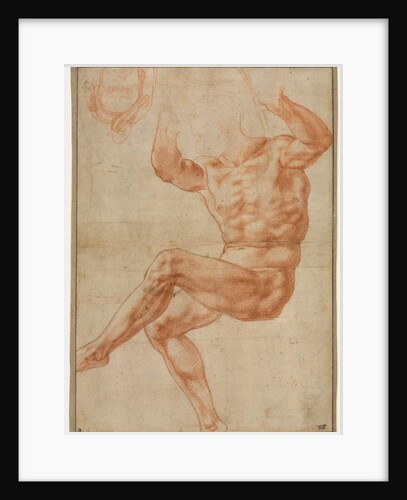 Study for the Nude Youth over the Prophet Daniel, 1510-11 by Michelangelo Buonarroti