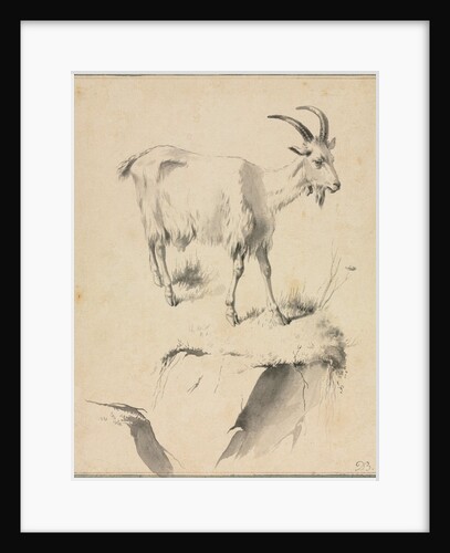 Study of a Goat, 1700s by Jean Jacques de Boissieu