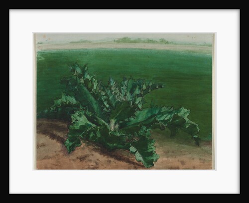 Study of a Plant, Possibly Thistle, 1862 by Léon Bonvin