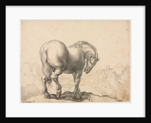 Study of a Stallion by Giovanni Battista Foggini