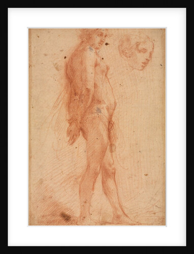 Study of a Standing Male Nude, with a Study of Head in Three-Quarter Profile, c. 1640 by Cecco Bravo