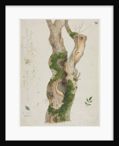 Study of a Tree Trunk by Georges Michel