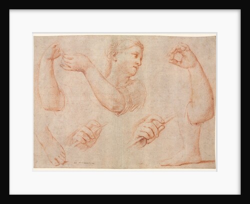 Study of a Young Woman Playing a Tambourine, and Studies of an Arm, Hands, and Feet…, c. 1711 by Marcantonio Franceschini