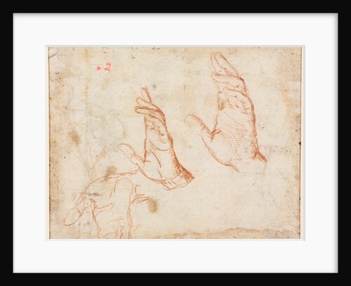 Study of Hands, c. 1590 by Camillo Procaccini