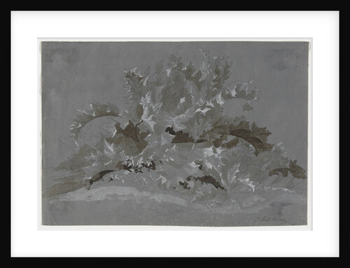 Study of Weeds, 1800-1850 by Jean Antoine Linck