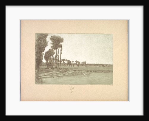 Suite de Paysages: Landscape, Plate 5, Remarque, Three Stalks of Wheat, 1892-1893 by Charles Marie Dulac