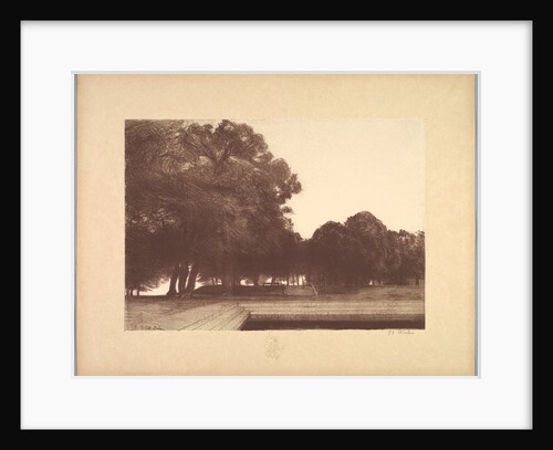 Suite de Paysages: Landscape, Plate 7, Remarque, Poppies, 1892-1893 by Charles Marie Dulac