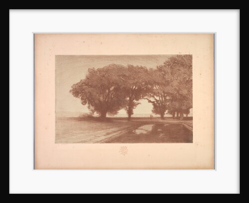 Suite de Paysages: Landscape, Plate 8, Remarque, Pansies, 1892-1893 by Charles Marie Dulac