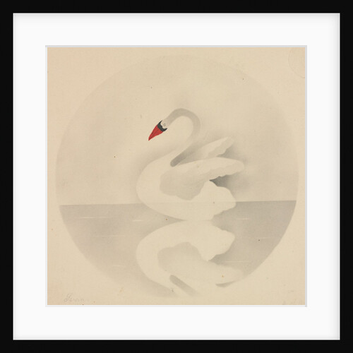 Swan by Mary Altha Nims