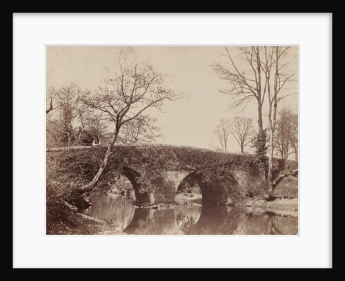 The Country Bridge, c. 1854- 1857 by John Dillwyn Llewelyn