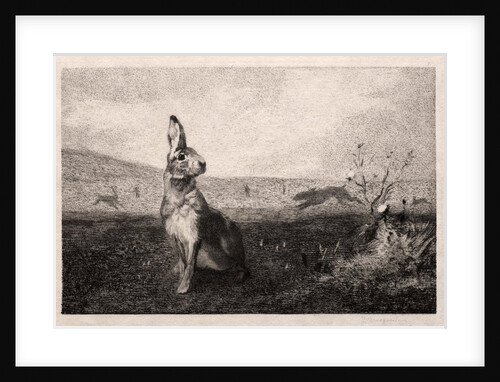 The Hare, 1865 by Félix Bracquemond