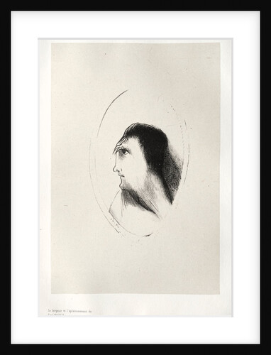The Haunted House: The Width and Flatness of [the] Frontal [Bone], 1896 by Odilon Redon; Auguste Clot