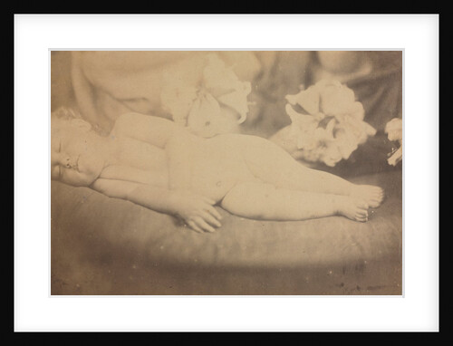 The Lily and the Lamb, c. 1865 by Julia Margaret Cameron