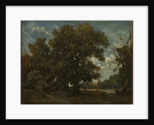 The Oak Tree, 19th century by Théodore Rousseau (imitator of)