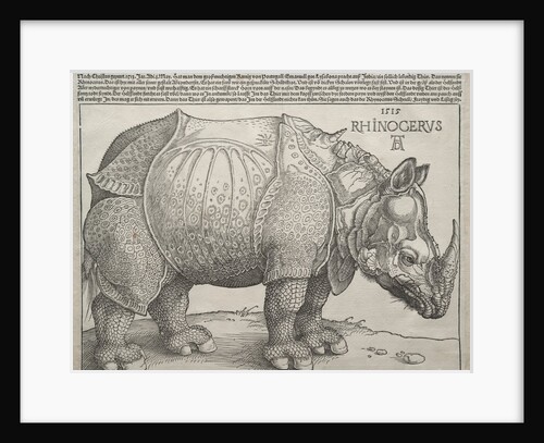 The Rhinoceros, 1515 by Albrecht Dürer