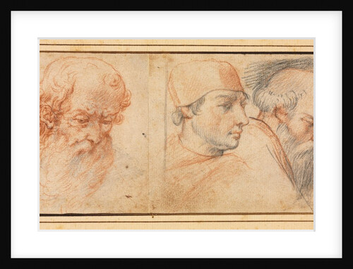 Three Head Studies, 1600s by Unknown