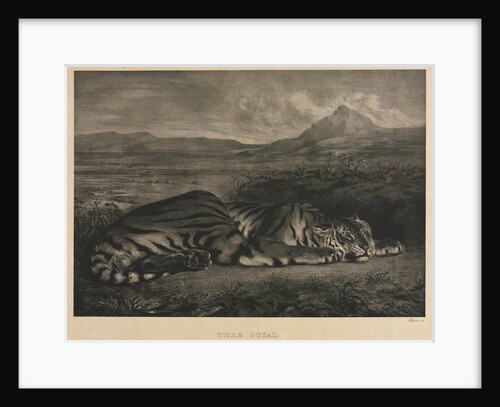 Tigre Royal, 1829 by Eugène Delacroix