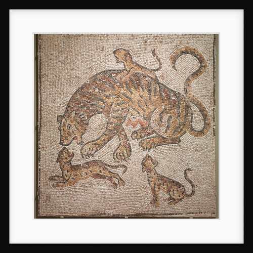 Tigress and Cubs, 300s by Unknown